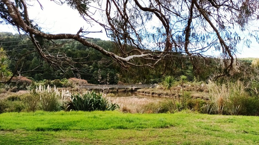 A green lawn edged with flax and toetoe, framed by gum branches, with bush-covered hills beyond.