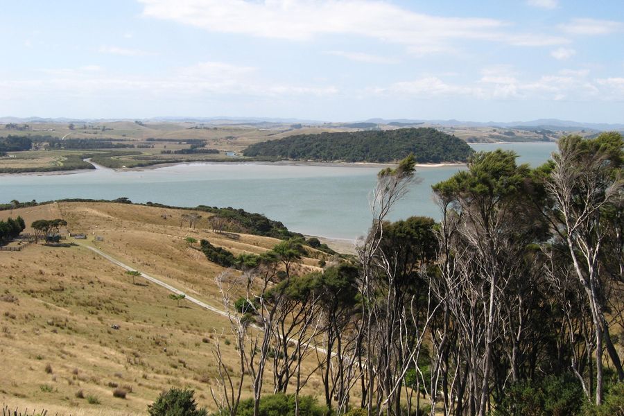 Dry grassy farmland running down past coastal trees to the wide Oruawharo River.