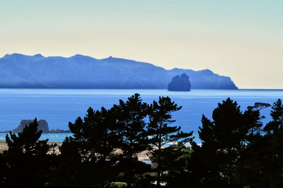 A rocky islet offshore under a pale sky, with Taranga Island on the horizon and pine trees in the foreground.