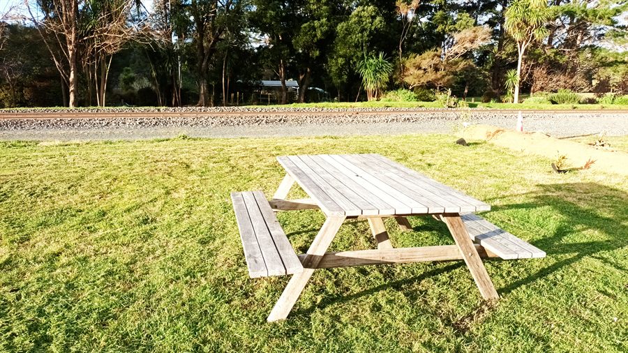 A weathered wooden picnic table on the grass in the sun, with cabbage trees behind it.